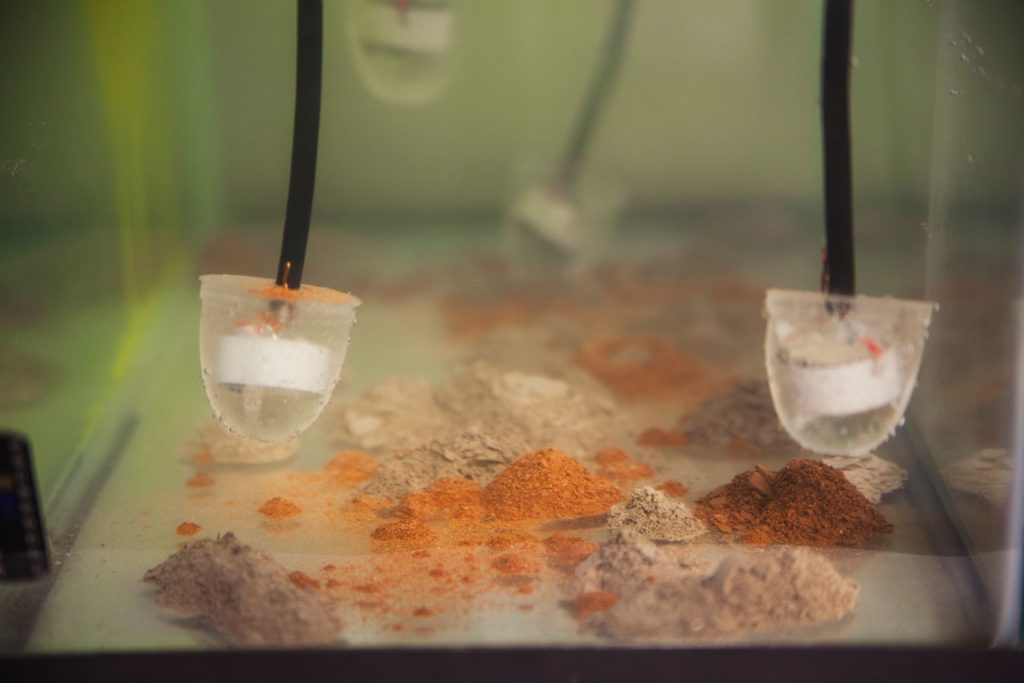 Bitkiler ve Bitkileri Sevenler için Sıcak Toprak Sesleri: Passepartout Duo