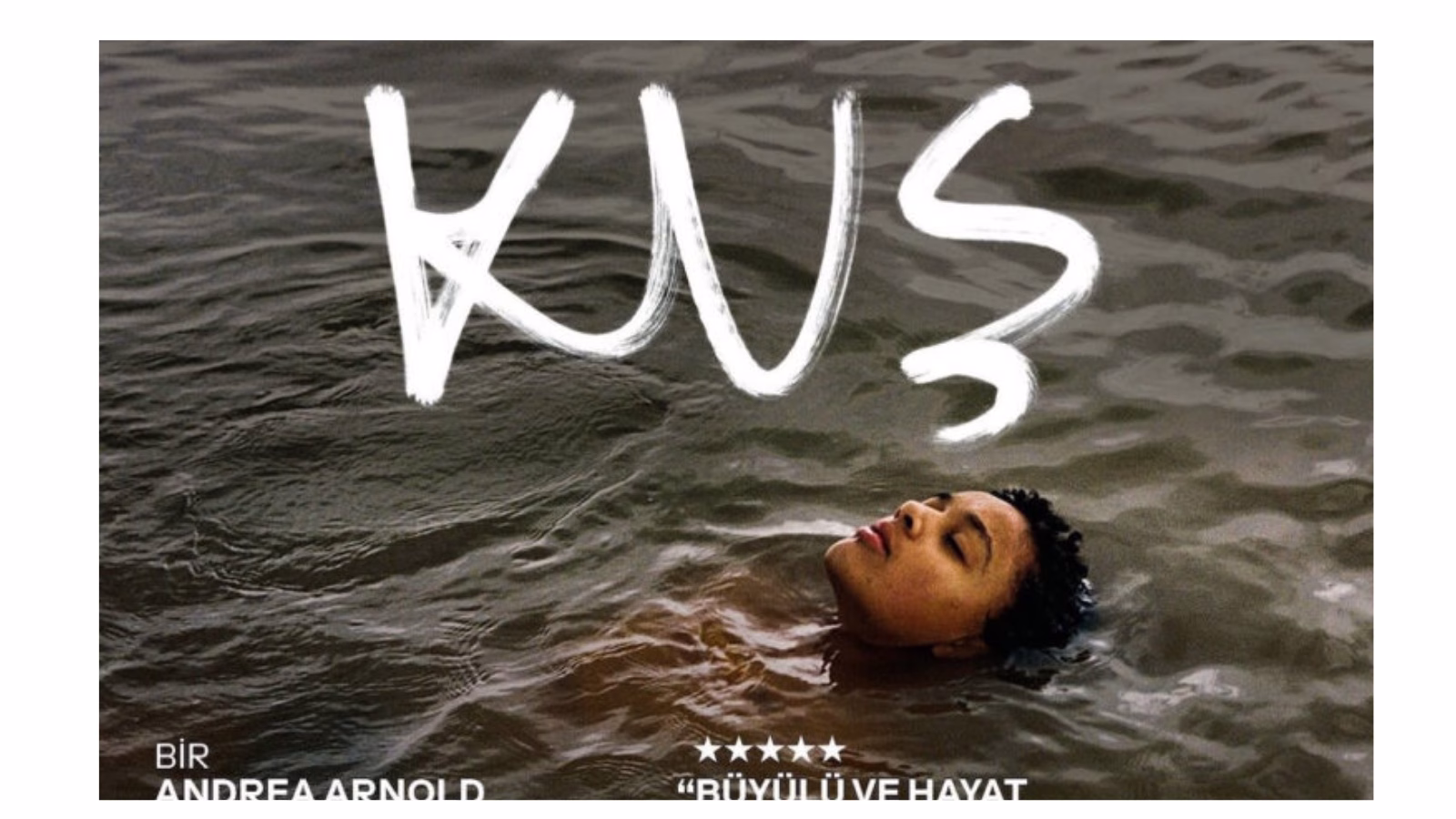 Andrea Arnold’ın Yeni Filmi "Kuş" MUBİ’de