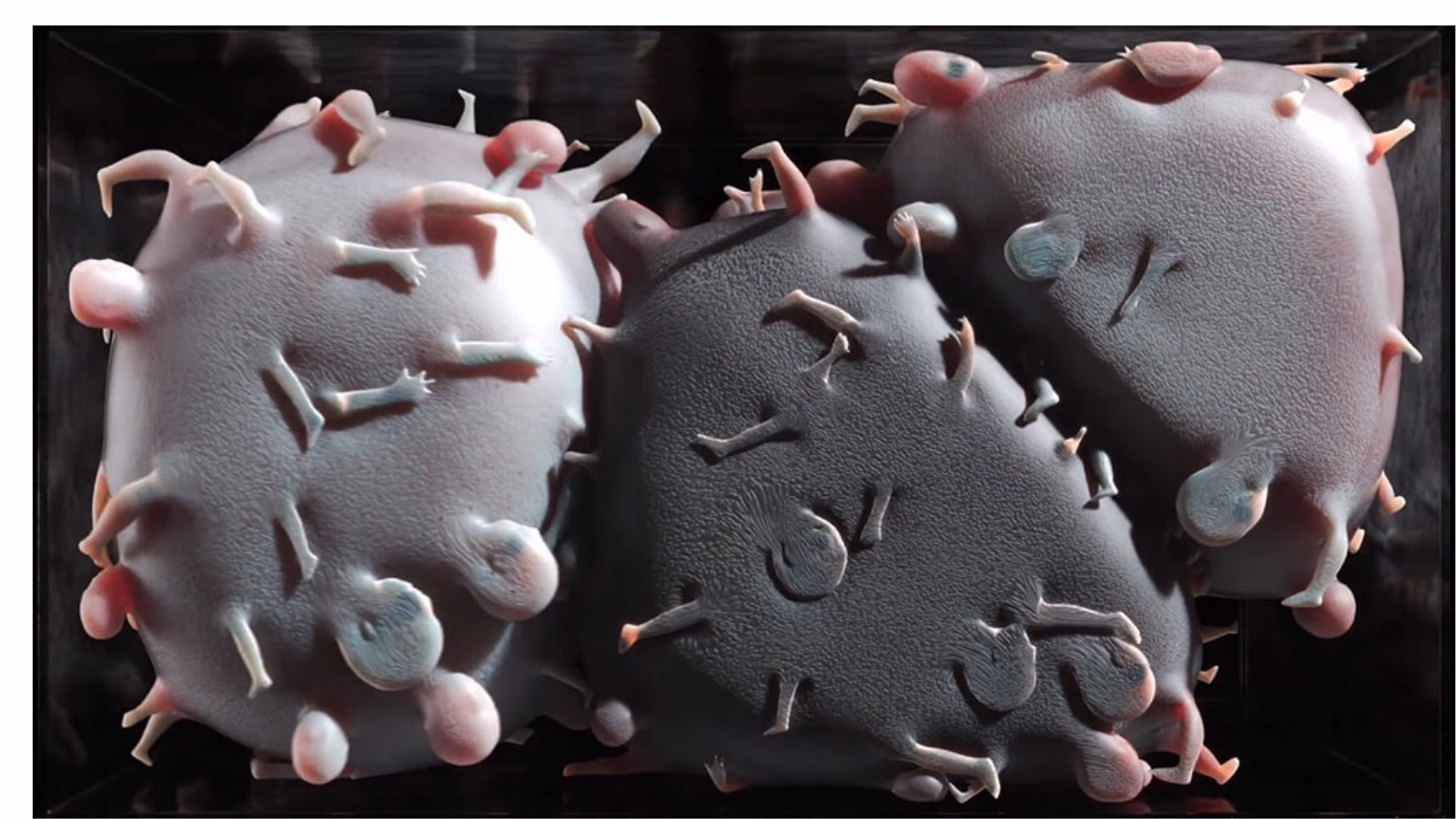 Daire Sanat Açık Atölye Programı, Misafir Sanatçı Sergisiyle Sona Eriyor