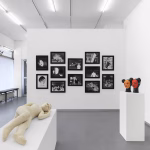 Aneta Grzeszykowska’s “Privacy Settings”: At the Border of Body, Memory, and Mask