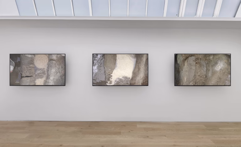 Lisson Street’te Bir Kozmos- Raven, Long, Latham2