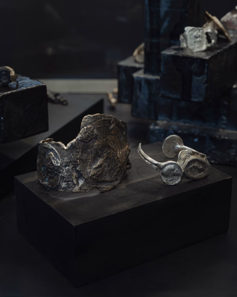 Thibault Hazelzet Comme un Meteor Sergisi3