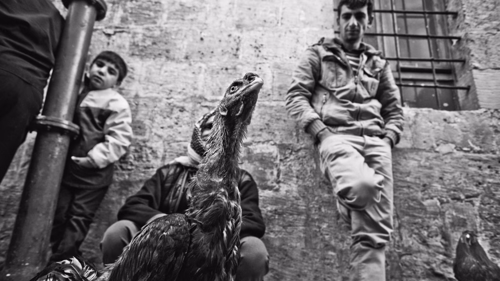 Toplumların "Kırılma Zamanı"na Bakmak: 15. Bursa FotoFest