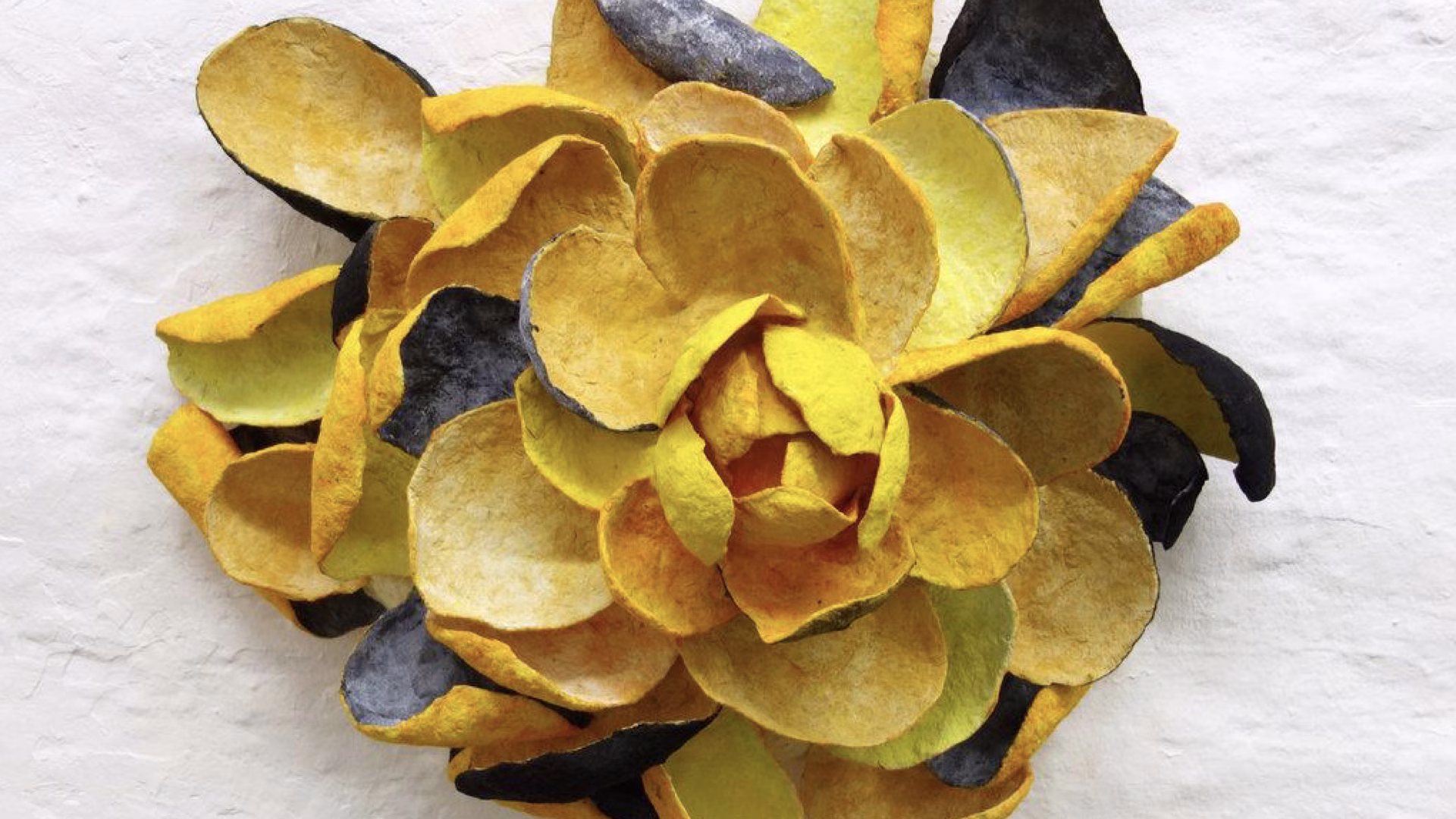 Çölün Hafızası Kâğıda Dökülürse: Berlin’de “Wüstenblumen” Zamanı