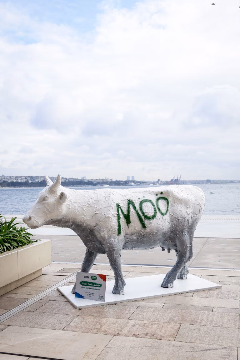 Dikkat_Inek_Äikabilir_(26)_094650114