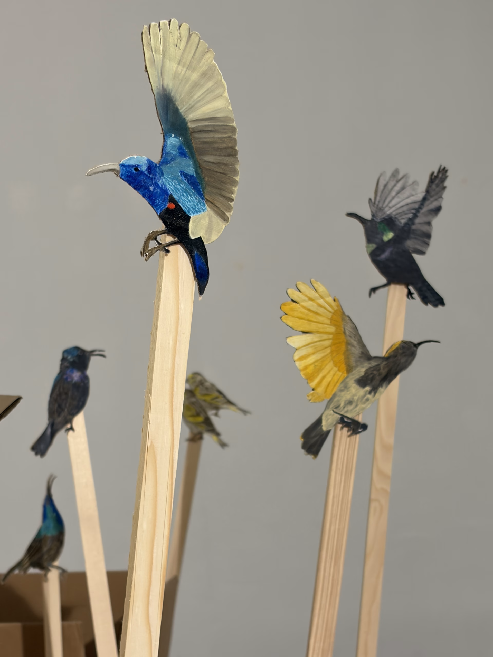 Serra Tansel'in "Gökyüzleri" Sergisi