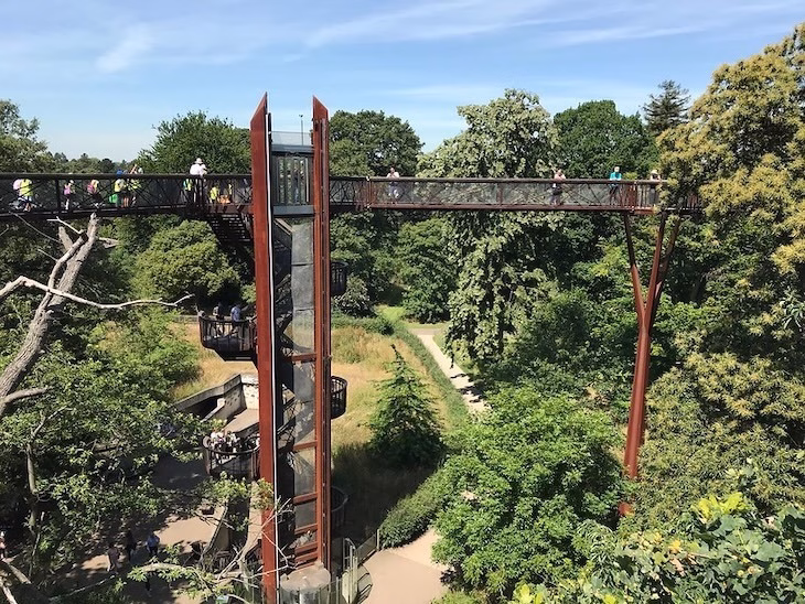 kew-treetop-walkway