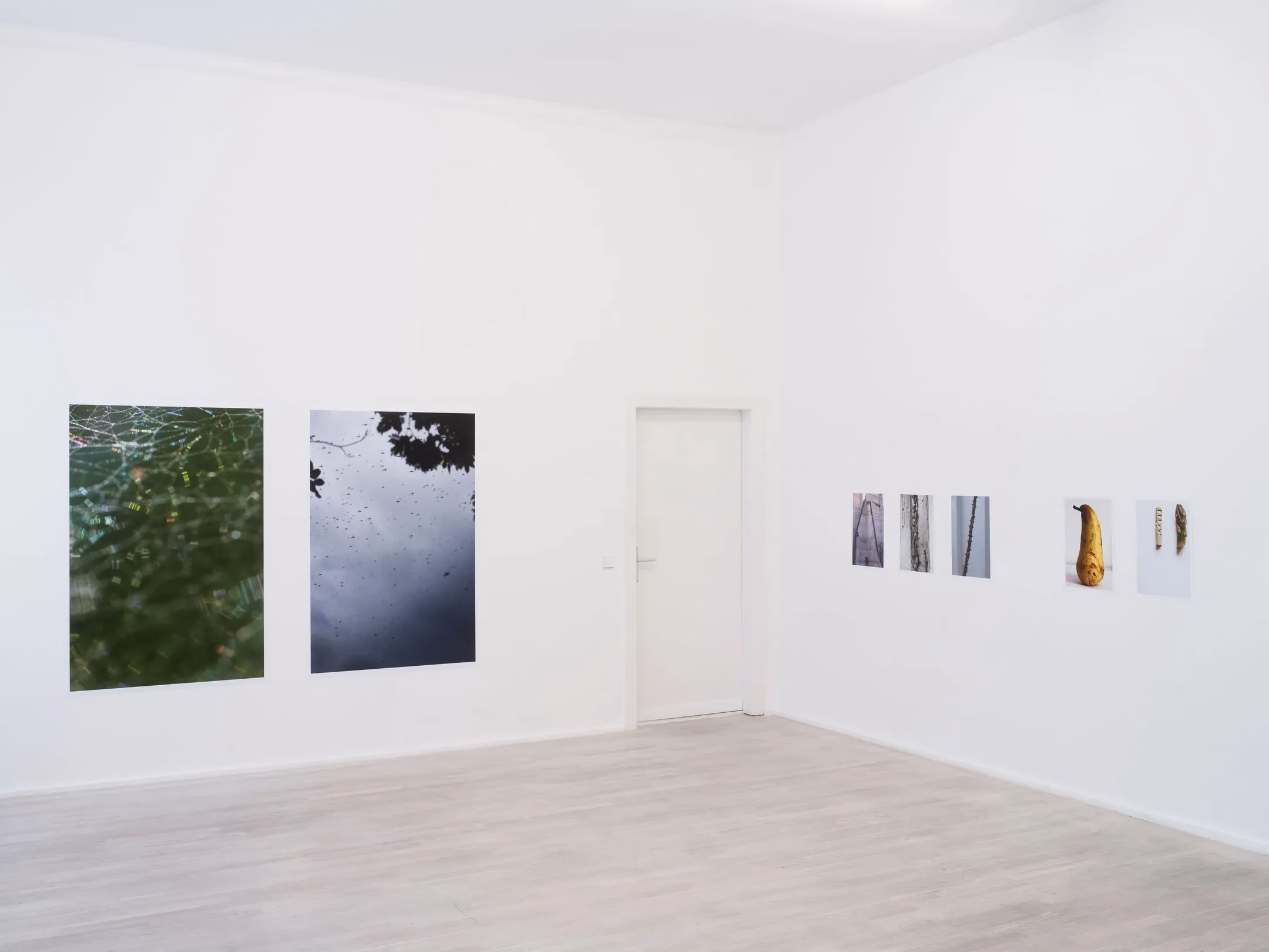 Bürgerliche Dämmerung: Peter Piller ve Arşivin Tozlu Melankolisi