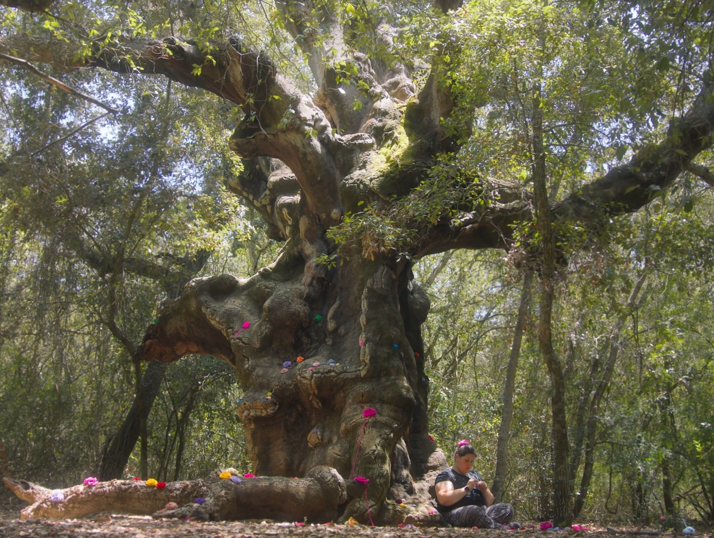 Salt Beyoğlu’nda "Bu Son Şansımız mı?"