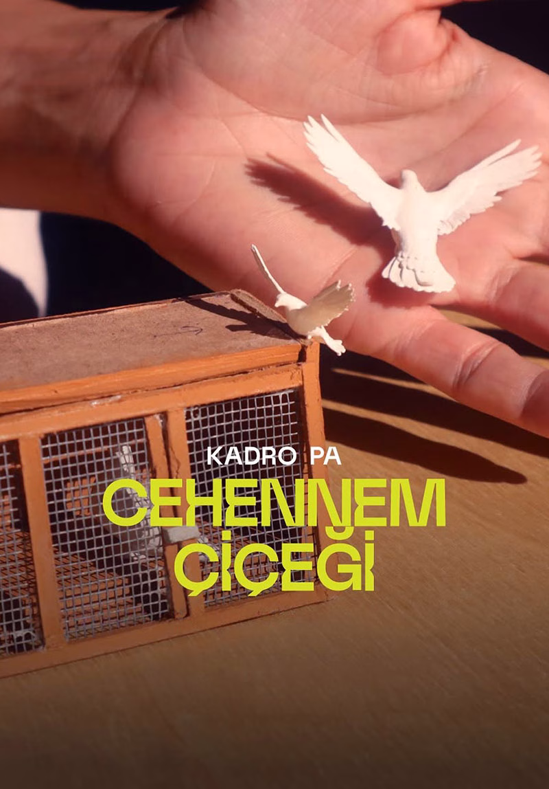 🎭 Alper Kamu ve Cehennem Çiçeği Alan Kadıköy’de