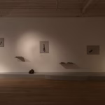 Galerie Peter Kilchmann Kadrosuna Güçlü Bir İsim Katılıyor: Amol K Patil ile Tanışın!