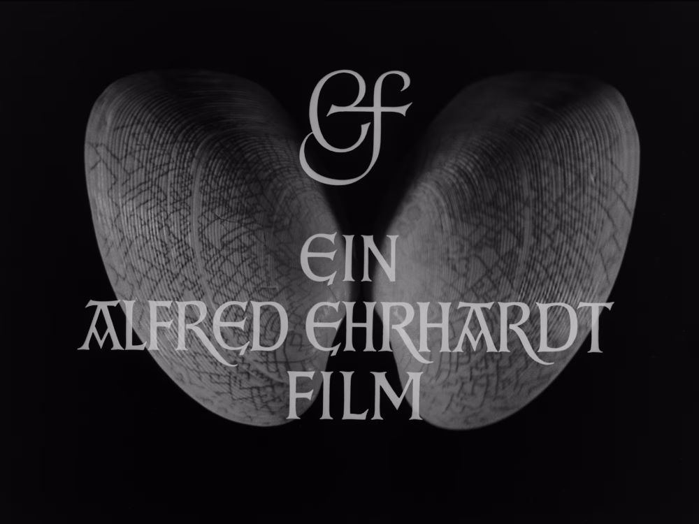 Films Like Never Before. Alfred Ehrhardt – Bauhaus Artist and Filmmaker – Bauhaus’tan Belgesel Sinemaya Bir Vizyoner