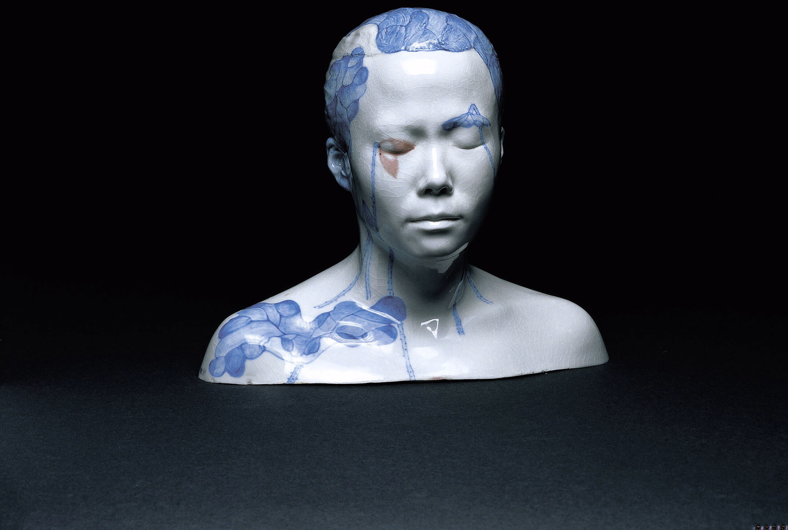 V&A South Kensington'da Rising Voices: Contemporary Art from Asia, Australia and the Pacific