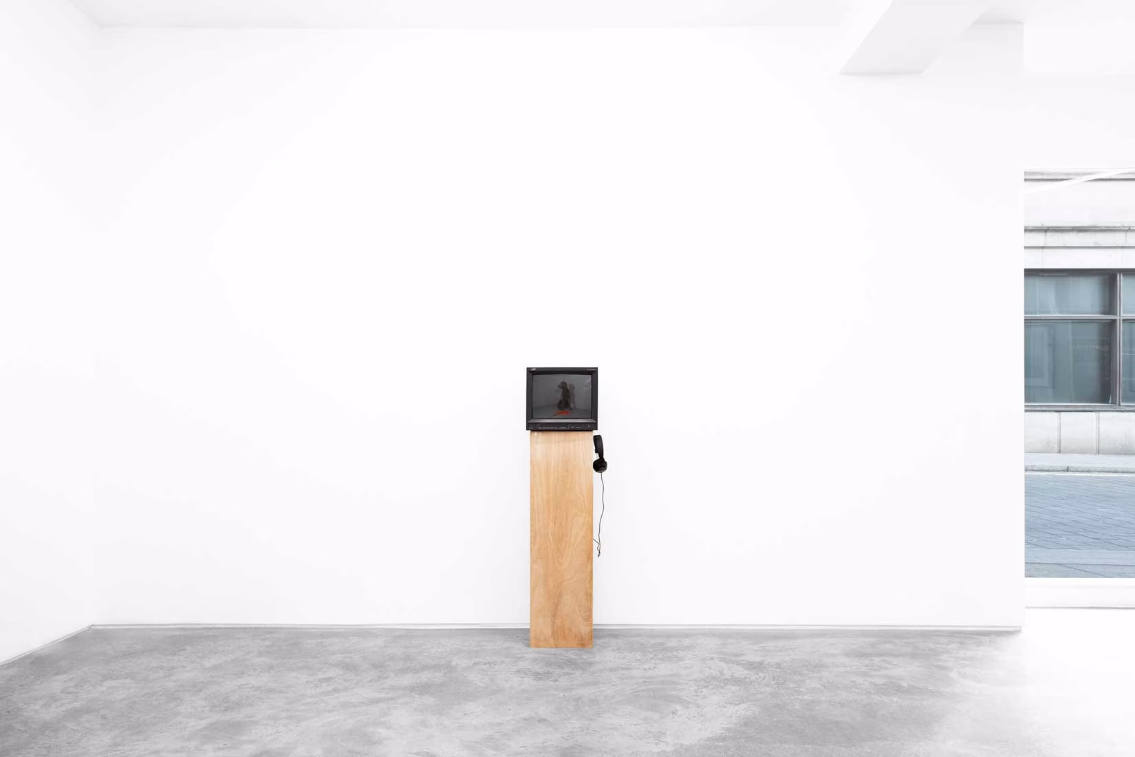 William Wegman, Bir Köpek ve 70'ler Televizyonu: Huxley-Parlour'da "Video Works"