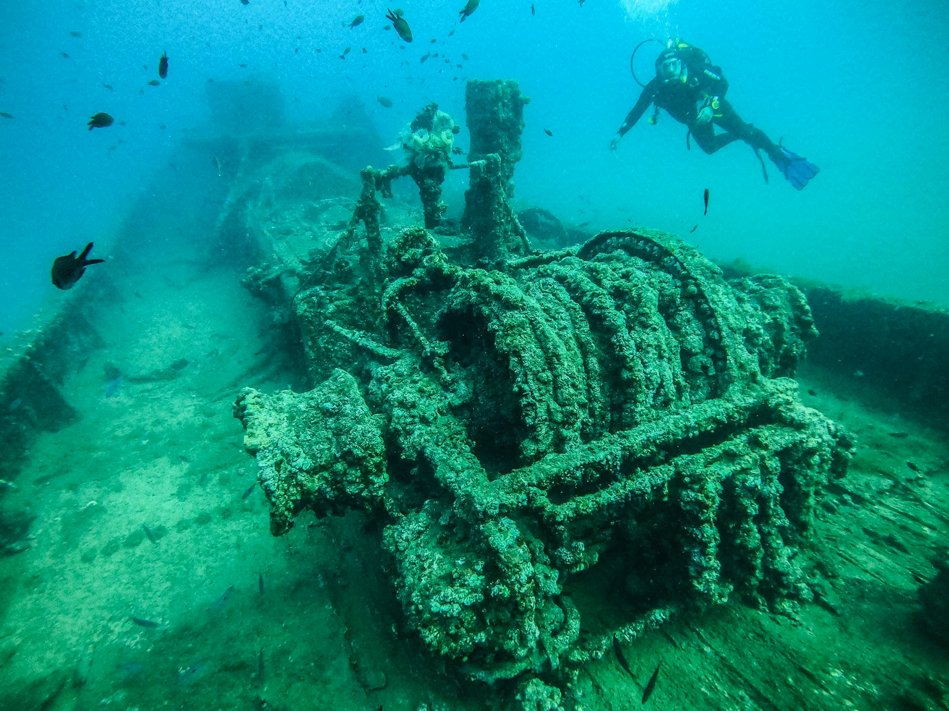 Çanakkale’nin Sular Altındaki 111 Yıllık Sırrı "Derin Miras" ile Hayata Dönüyor!